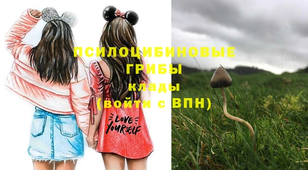 спайс Осинники