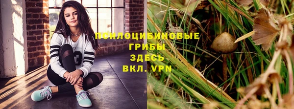 прущая мука Остров