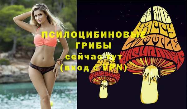 прущая мука Остров