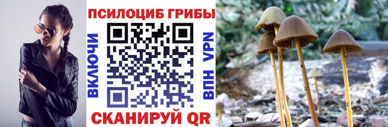 Псилоцибиновые грибы Psilocybine cubensis  ОМГ ОМГ рабочий сайт  Кондрово 